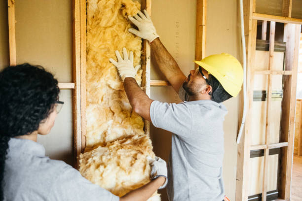 Trusted Sebring, FL Insulation Experts